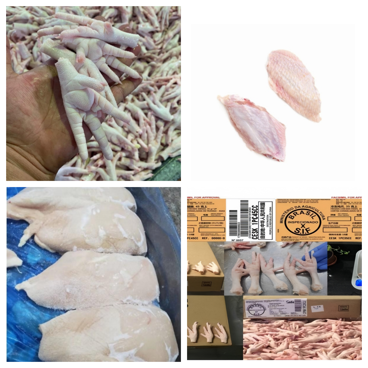 Frozen products - Chicken